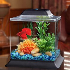 fish tank accessories online